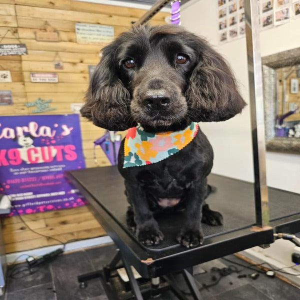 V-Shape Tieback Bundle