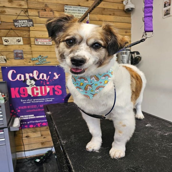 V-Shape Tieback Bundle