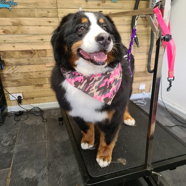 Large and Extra Large ONLY Tieback Bandanas