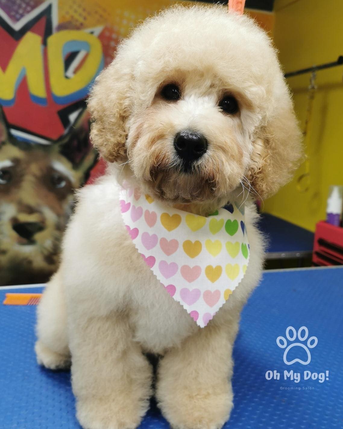 Valentine's Day Tieback Bandanas